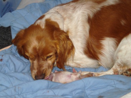 Linda a minha filhota! 